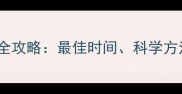 边牧幼犬补钙全攻略最佳时间科学方法与注意事项