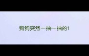 狗狗突然一抽一抽的