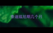 泰迪尴尬期几个月