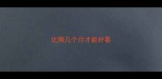 比熊几个月才能好看