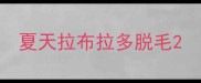 夏天拉布拉多脱毛