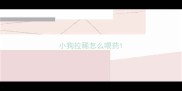 小狗拉稀怎么喂药
