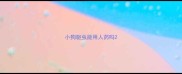 小狗驱虫能用人药吗