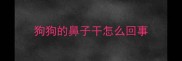 狗狗的鼻子干怎么回事