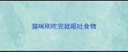 猫咪刚吃完就呕吐食物