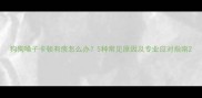 狗狗嗓子卡顿有痰怎么办5种常见原因及专业应对指南