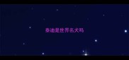 泰迪是世界名犬吗