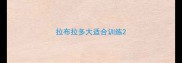 拉布拉多大适合训练