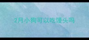 2月小狗可以吃馒头吗