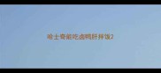 哈士奇能吃卤鸭肝拌饭
