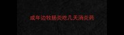 成年边牧肠炎吃几天消炎药