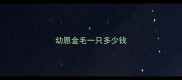幼崽金毛一只多少钱
