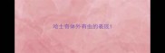 哈士奇体外有虫的表现