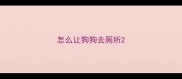 怎么让狗狗去厕所