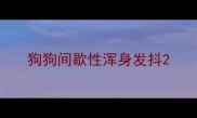 狗狗间歇性浑身发抖