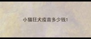 小猫狂犬疫苗多少钱