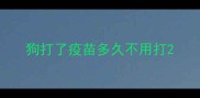 狗打了疫苗多久不用打