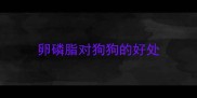 卵磷脂对狗狗的好处