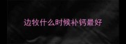 边牧什么时候补钙最好