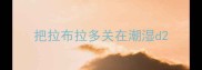 把拉布拉多关在潮湿d