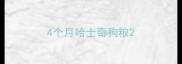 4个月哈士奇狗粮