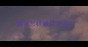 猫咪怎样嫌贫爱富