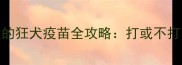 必看宠物家长必懂的狂犬疫苗全攻略打或不打这些情况必须接种