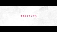 泰迪身上长了个包
