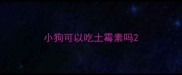 小狗可以吃土霉素吗