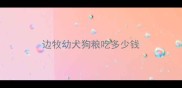 边牧幼犬狗粮吃多少钱