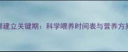 边境牧羊犬幼犬期肠道菌群建立关键期科学喂养时间表与营养方案附12-24周成长指南
