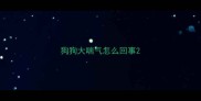 狗狗大喘气怎么回事