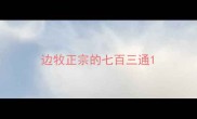边牧正宗的七百三通