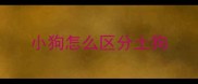 小狗怎么区分土狗