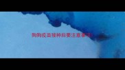狗狗疫苗接种后要注意事项