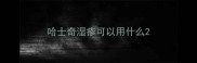 哈士奇湿疹可以用什么