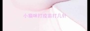 小猫咪打疫苗打几针