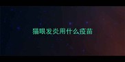 猫眼发炎用什么疫苗