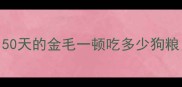 50天的金毛一顿吃多少狗粮
