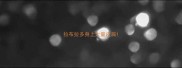 拉布拉多身上大量皮屑