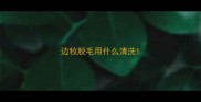 边牧脱毛用什么清洗