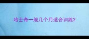 哈士奇一般几个月适合训练