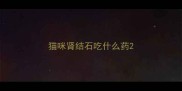 猫咪肾结石吃什么药