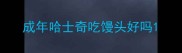 成年哈士奇吃馒头好吗