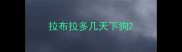 拉布拉多几天下狗