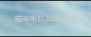 猫咪眼睛如何清洁