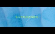多大开始给边牧梳毛