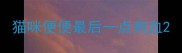 猫咪便便最后一点有血