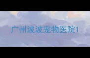 广州波波宠物医院