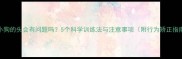 打小狗的头会有问题吗5个科学训练法与注意事项附行为矫正指南